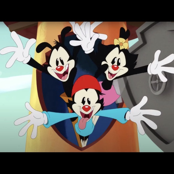 Meet your Posher, Sam - Picture 1 of 1